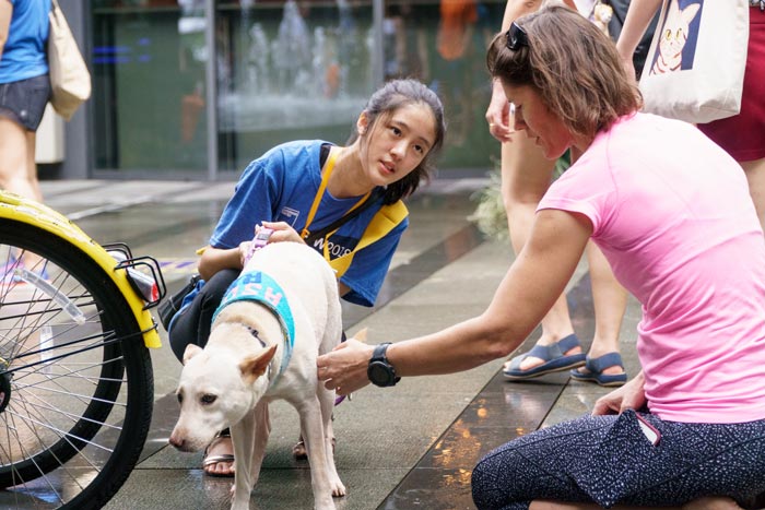 ASD-Volunteer-how-to