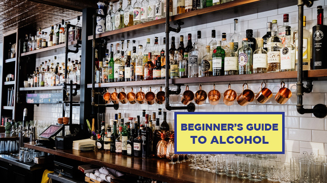 BEGINNER’S GUIDE TO&nbsp;ALCOHOL
